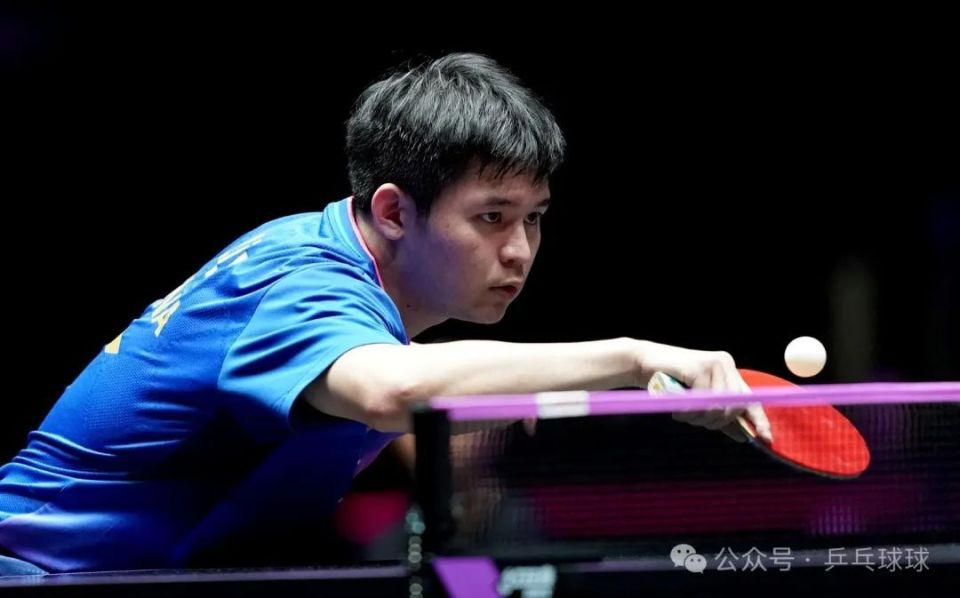 专业性和观 专业性和观